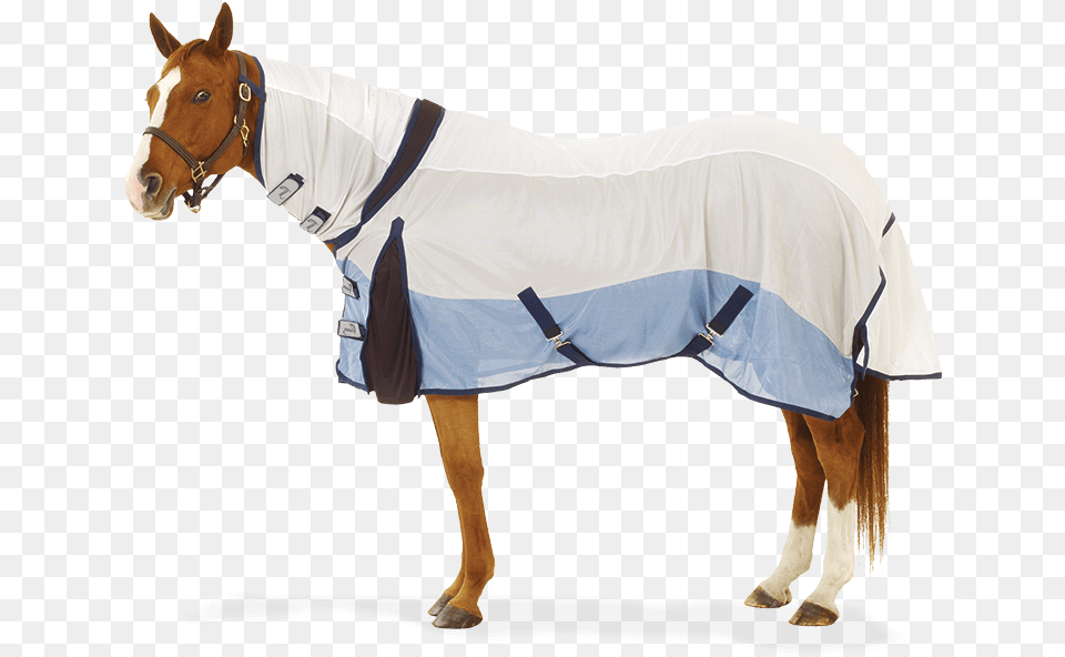 Pessoa Coolwave Fly Sheet Pessoa Coolwave Combo Fly Sheet, Animal, Horse, Mammal Free Transparent Png