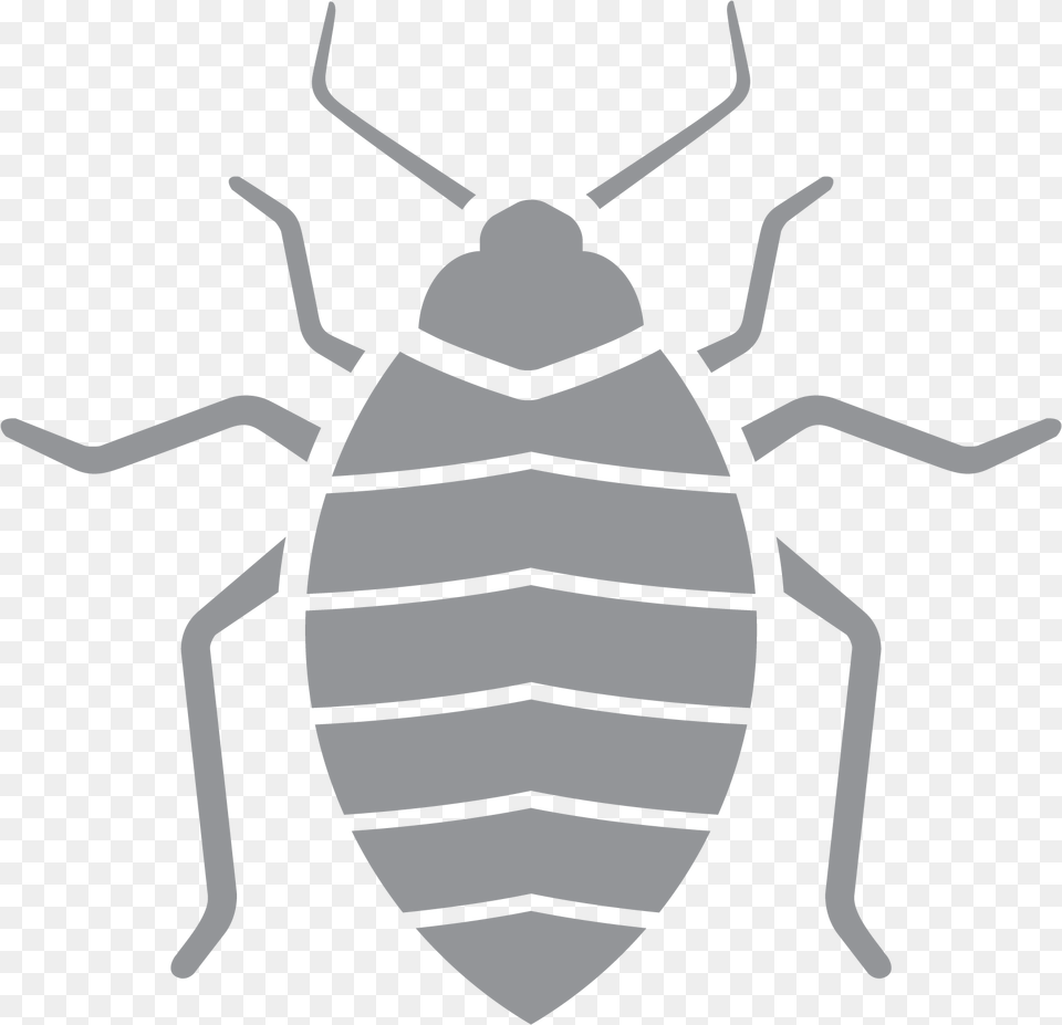 Pest Control, Ammunition, Grenade, Weapon, Animal Free Png Download