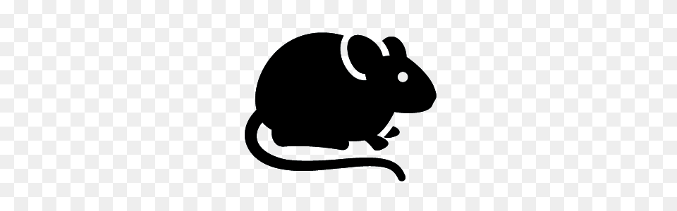 Pest Control A All Pest Termite Exterminators Dallas Tx, Animal, Blackboard, Mammal, Rodent Free Png