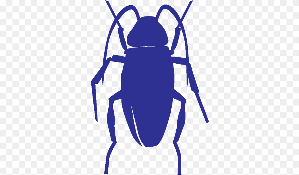 Pest Control Cockroach Icon, Animal, Person, Insect, Invertebrate Free Transparent Png