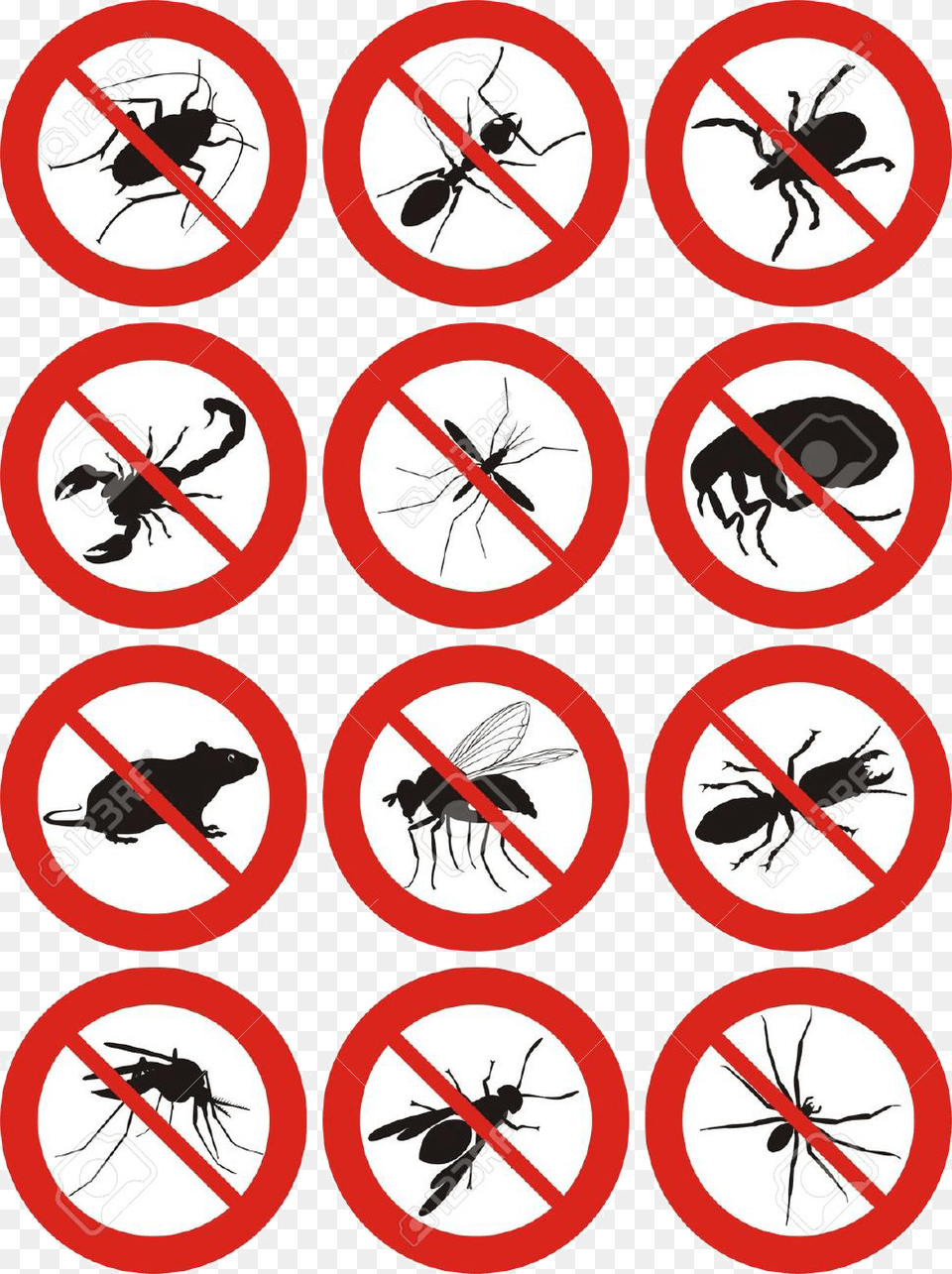 Pest Control Icon Free, Sign, Symbol, Animal, Bear Png Image