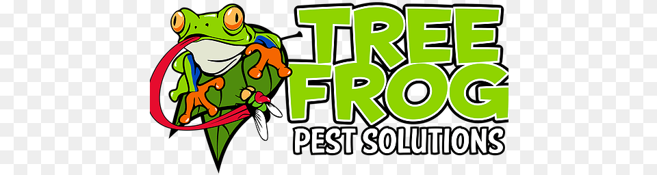 Pest Control Tree Frog Solutions United States Clip Art, Green, Amphibian, Animal, Wildlife Png