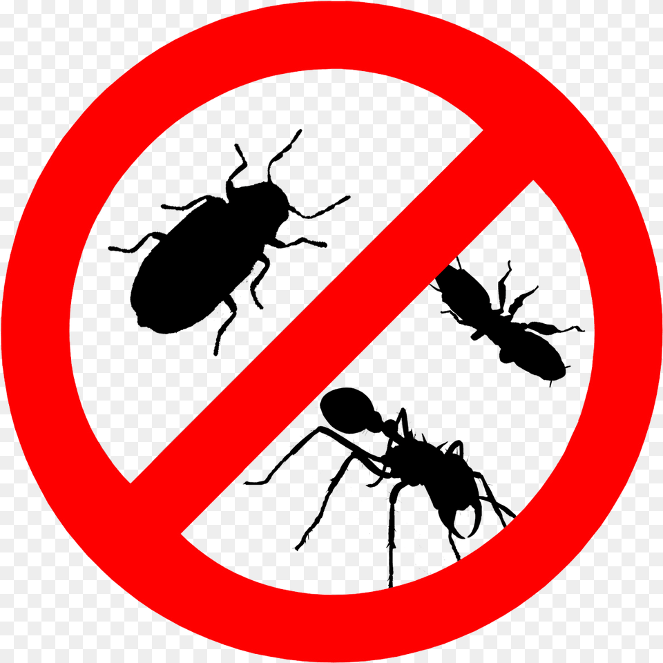 Pests Control, Sign, Symbol, Road Sign Free Png Download