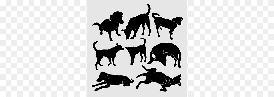 Pet Silhouette, Stencil, Animal, Canine Png Image