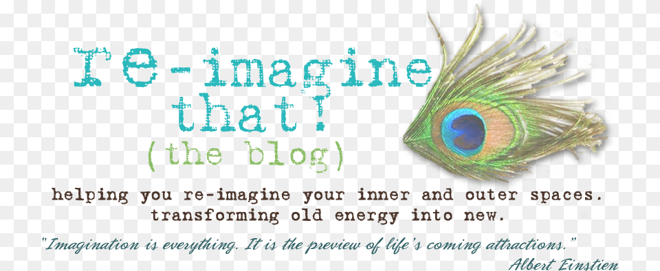 Pet An Animal, Bird Free Transparent Png