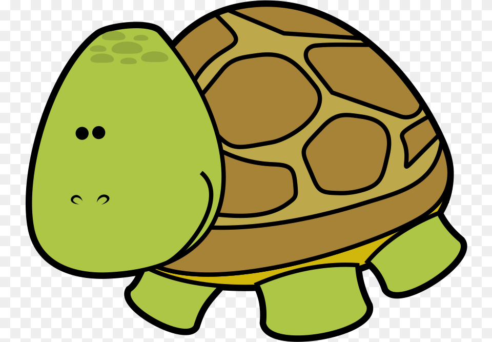 Pet Animals Clip Art Freebies Contains Images Files Which, Animal, Tortoise, Sea Life, Reptile Free Png