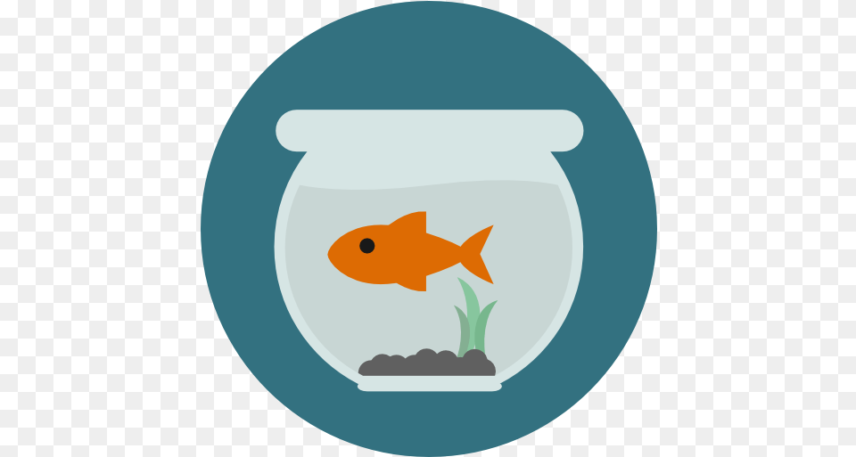 Pet Animals Sea Life Fish Bowl Icon Fish In Bowl Icon, Animal, Sea Life, Aquarium, Water Free Png Download