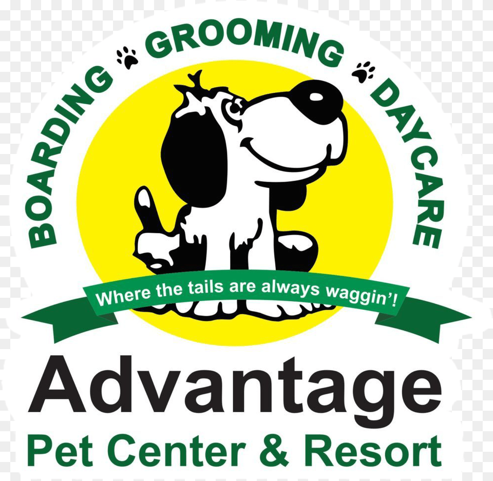 Pet Boarding Kennel Tampa Concentrix, Logo, Animal, Bird Free Transparent Png