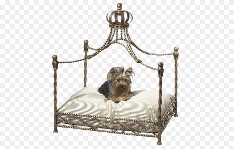 Pet Canopy Bed, Furniture, Animal, Canine, Crib Png Image