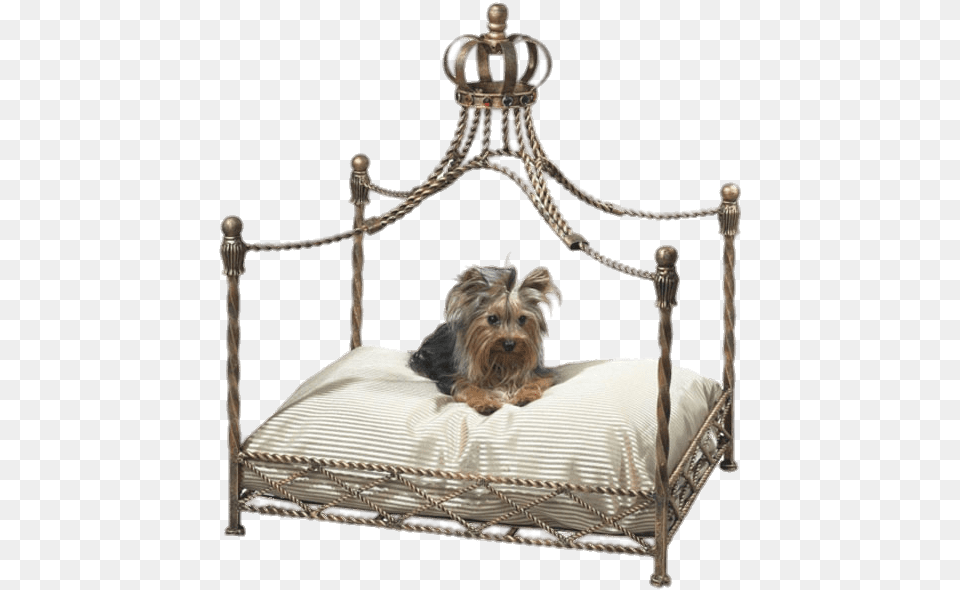 Pet Canopy Bed Cat Canopy Bed, Furniture, Crib, Infant Bed, Animal Png