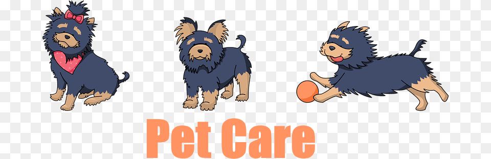 Pet Care Cute Printable Animal Stickers, Mammal, Wildlife, Bear, Face Free Png Download