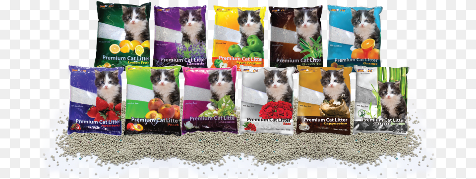 Pet Cat Cat Litter Sumo Cat Litter, Art, Collage, Animal, Mammal Png