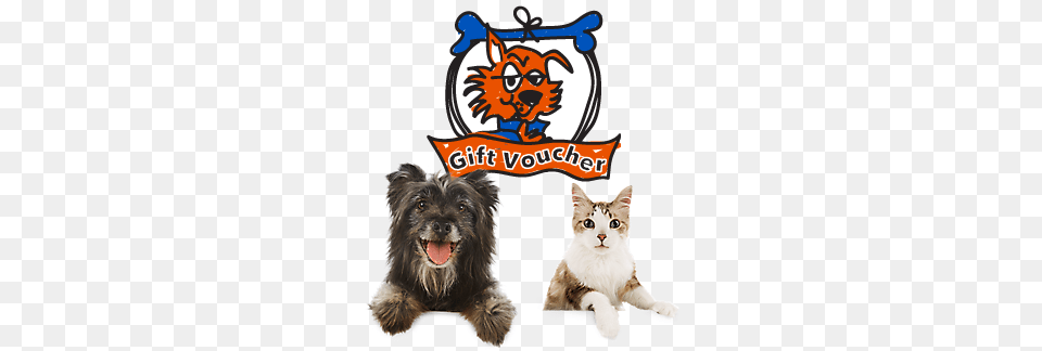 Pet Central Christchurch Best For Your Pet Online And In Store, Animal, Canine, Dog, Mammal Png Image