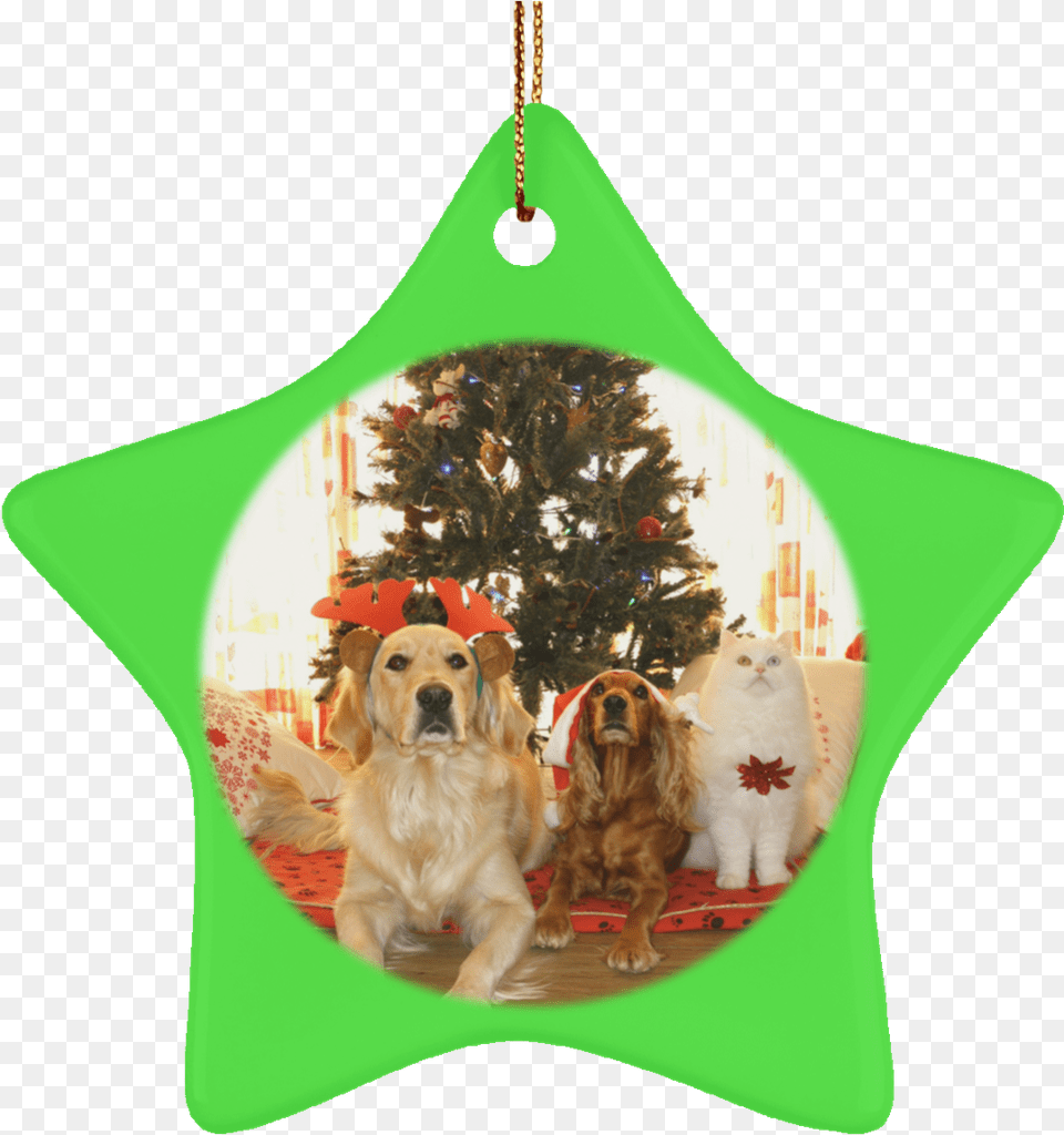 Pet Christmas Tree Ornament Cat Gift Crafted Holiday Things To Get Dogs For Christmas, Animal, Canine, Mammal, Dog Png Image
