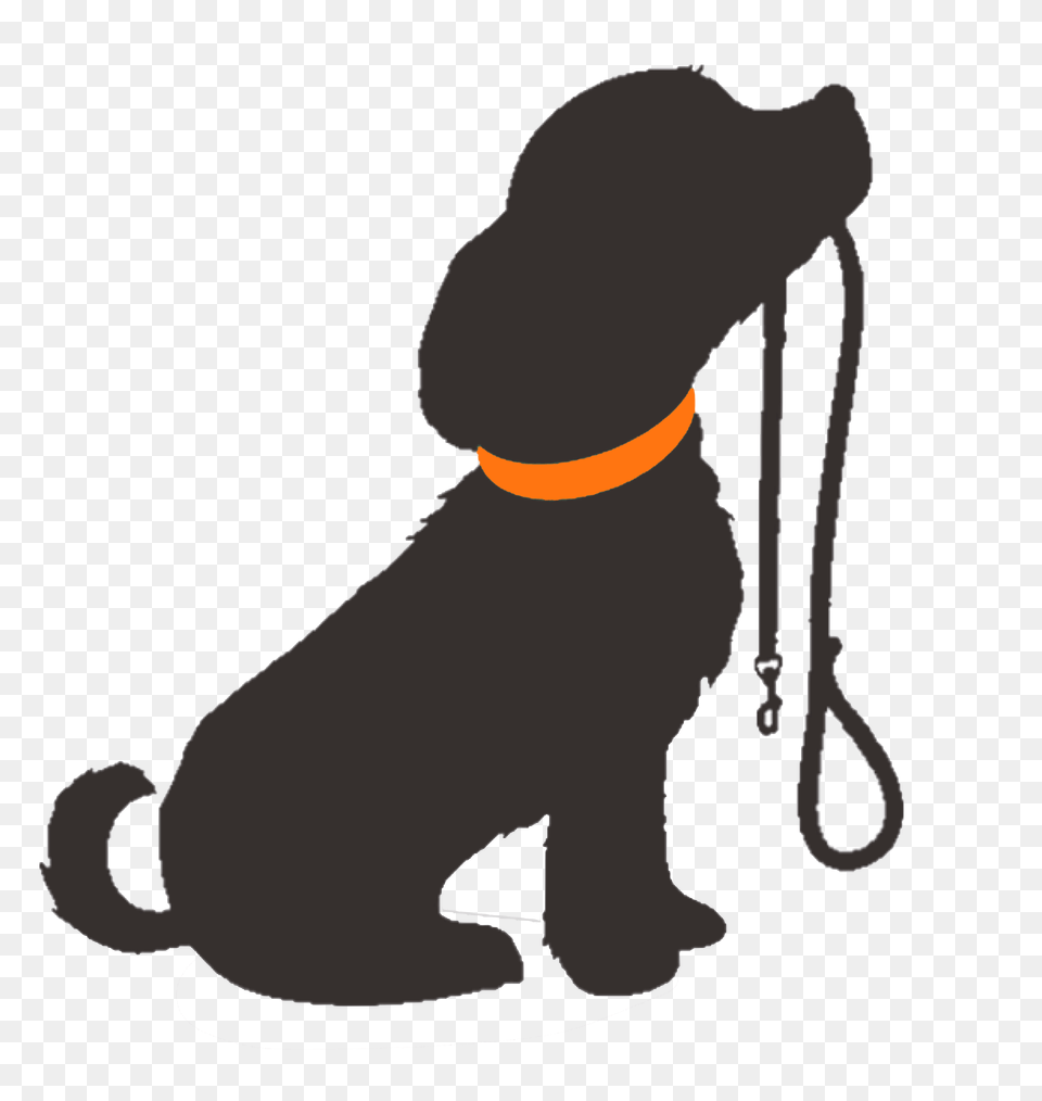 Pet Clipart Transparent Background Transparent Background Dog Clip Art, Accessories, Strap, Baby, Person Free Png Download