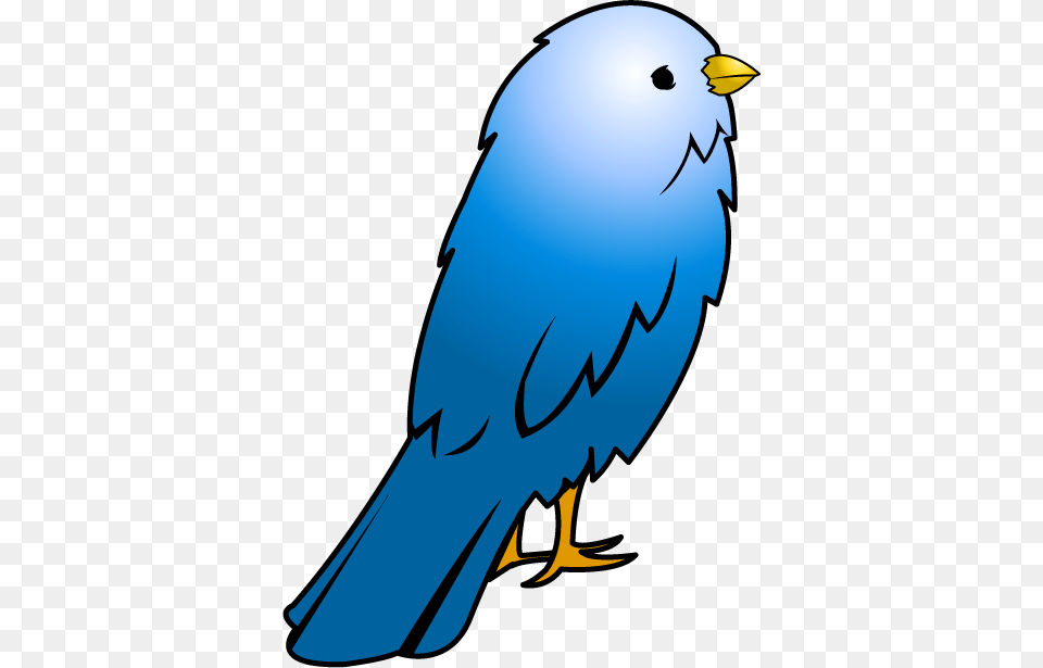 Pet Cliparts, Animal, Bird, Jay, Person Png Image