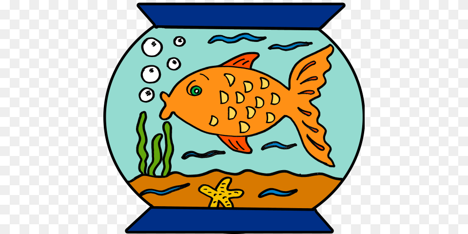 Pet Fish Clipart, Animal, Sea Life, Goldfish, Baby Png