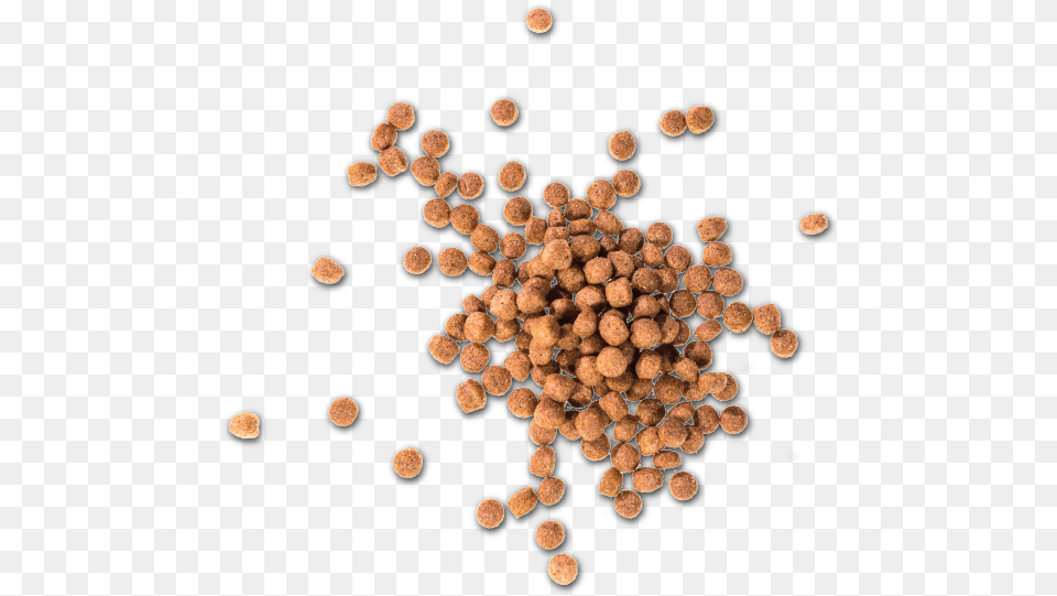 Pet Food Contract Manufacturer Tree, Produce Png Image