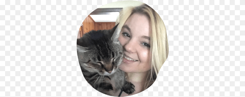 Pet Groomer In King Of Prussia Pennsylvania Heart Paw Domestic Cat, Portrait, Photography, Face, Person Free Png Download