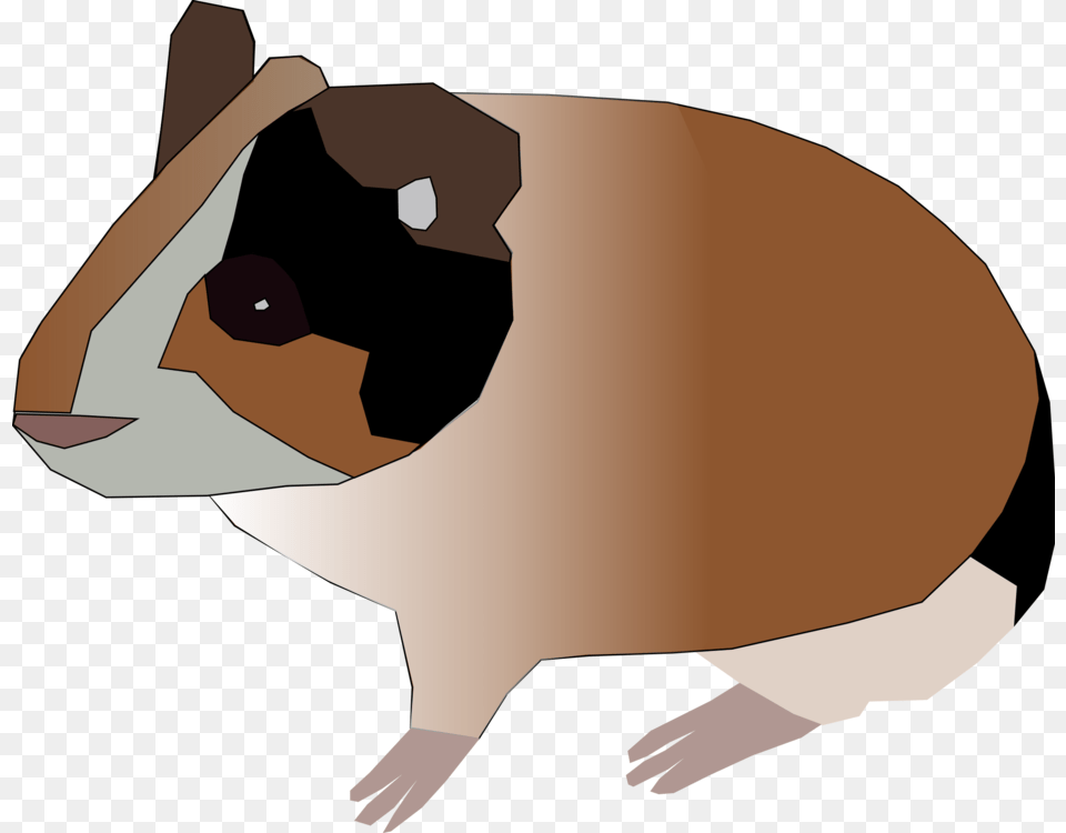 Pet Guinea Pigs Rodent, Animal, Mammal, Baby, Person Free Transparent Png