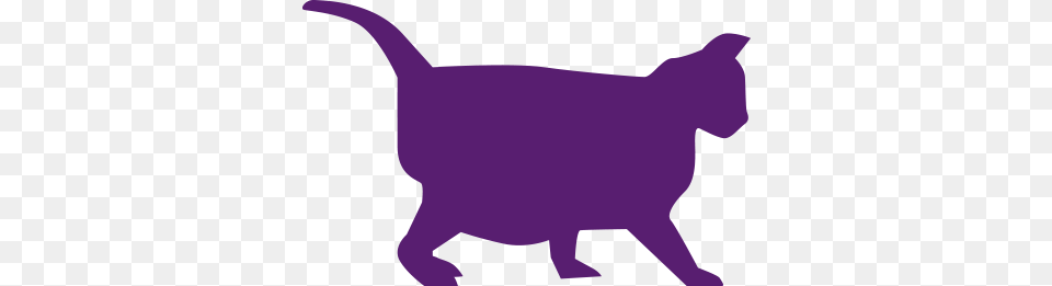 Pet Obesity, Purple Free Transparent Png