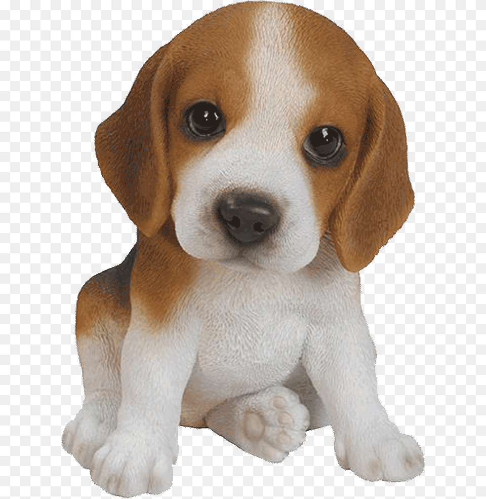 Pet Pals Beagle Puppy Resin Garden Ornament Moving Pics Of Animals, Animal, Canine, Dog, Hound Png