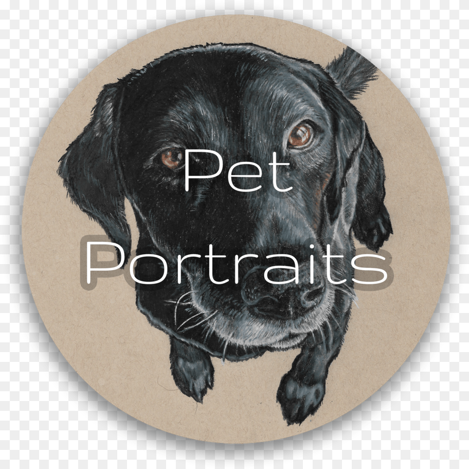 Pet Portrait Button Labrador Retriever, Animal, Canine, Dog, Mammal Free Png