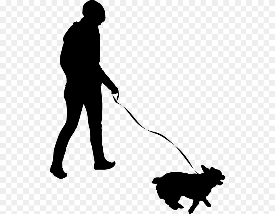 Pet Sitting Dog Walking Cat, Gray Free Png