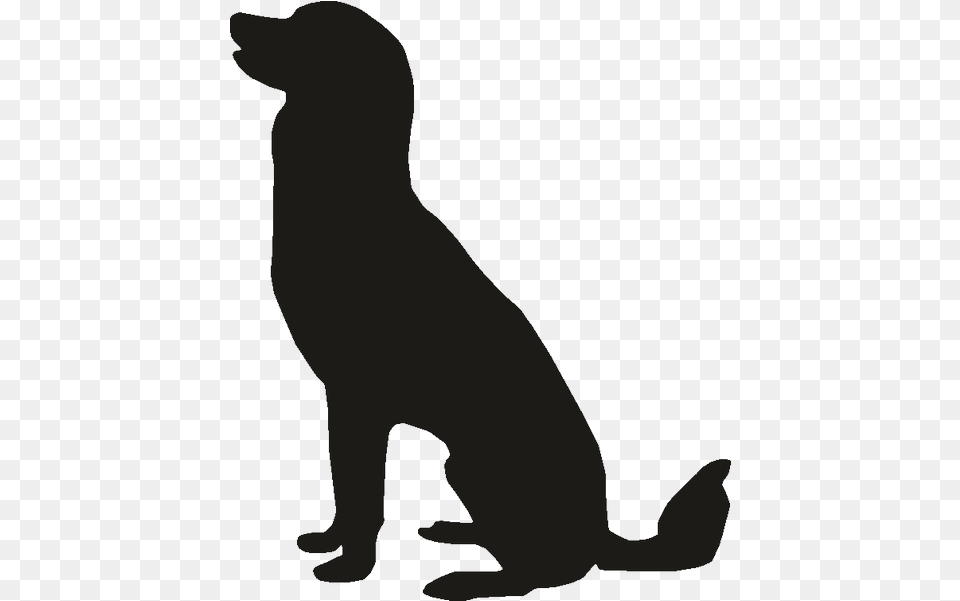 Pet Sitting Labrador Retriever Puppy Golden Retriever, Silhouette, Person, Animal, Cat Free Transparent Png