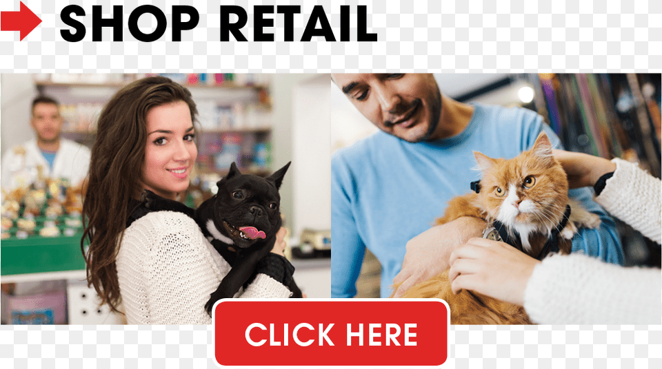 Pet Store, Person, Doctor, Adult, Woman Png Image