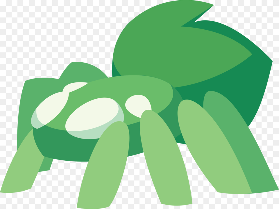 Pet Tarantula, Green, Baby, Person, Food Free Transparent Png