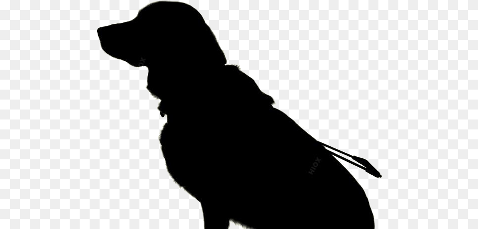 Pet Transparent, Silhouette, Adult, Female, Person Png Image