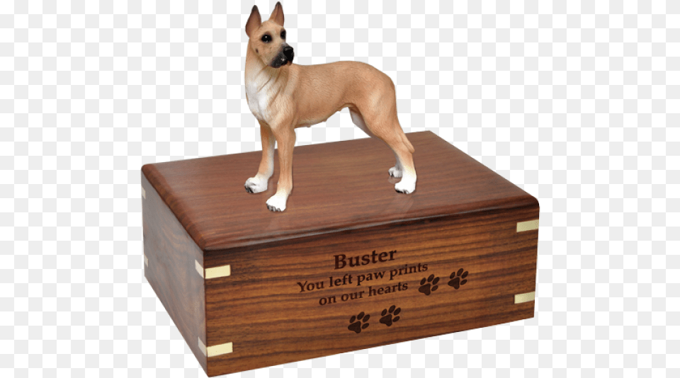 Pet Urn Australian Shepherd, Box, Animal, Canine, Dog Free Transparent Png