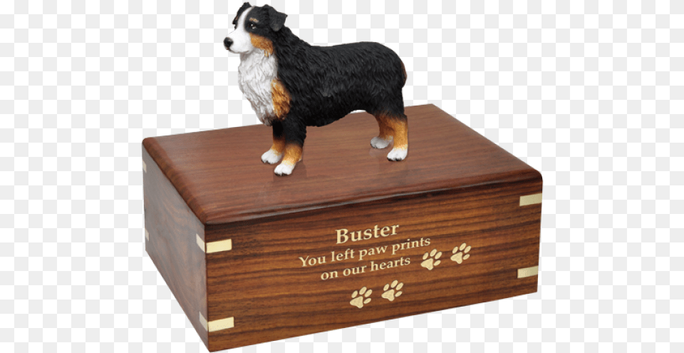 Pet Urn Australian Shepherd, Animal, Box, Canine, Dog Png Image