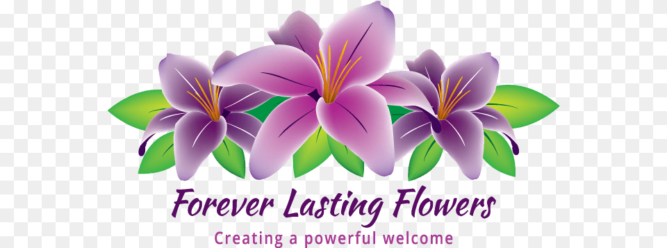 Petal, Flower, Plant, Purple, Art Free Png Download
