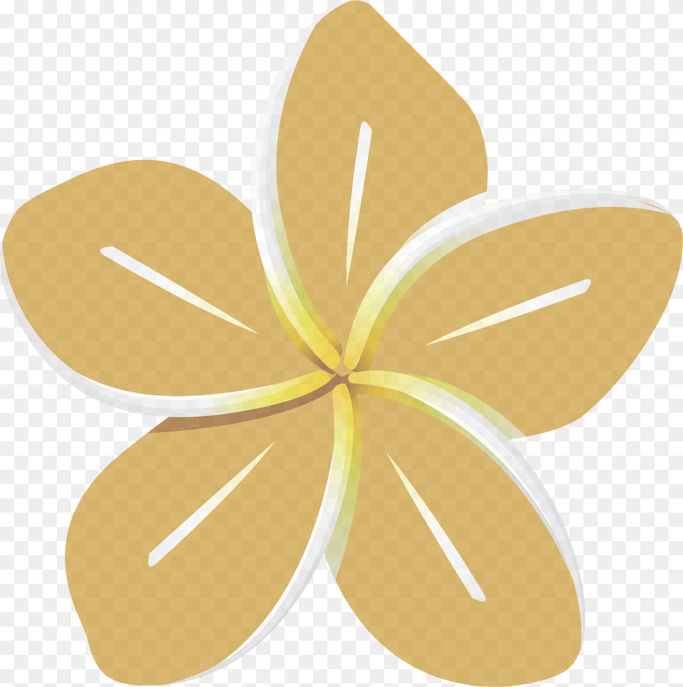 Petal, Flower, Plant, Daffodil, Daisy Png Image