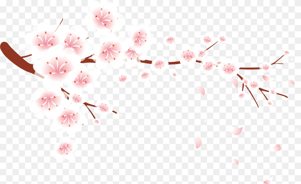 Petal Blossom Plum Blossom Pink Flower Cherry Blossom Plum Blossom Flower, Plant, Cherry Blossom Png Image