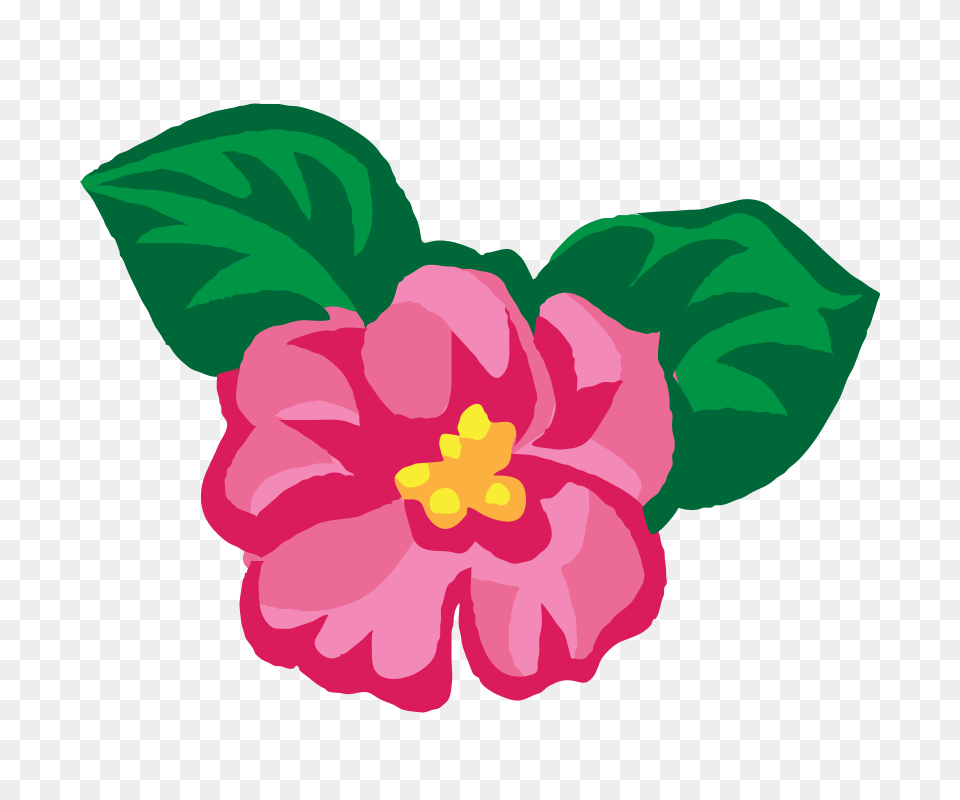 Petal Clipart, Flower, Plant, Hibiscus, Anemone Free Png Download