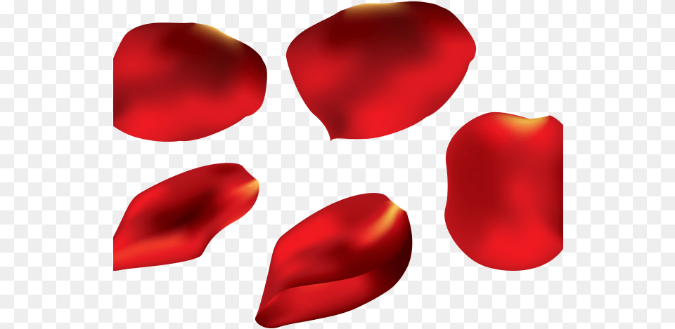 Petal Clipart Falling Red Red Rose Petal, Flower, Plant, Person Free Transparent Png