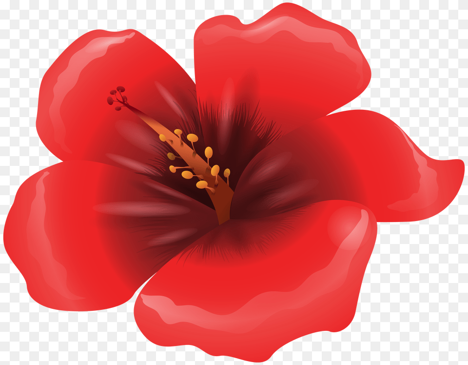 Petal Clipart Red Flower, Anther, Plant, Food, Ketchup Png Image
