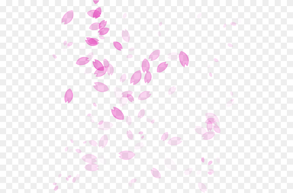 Petal Drawing Cherry Blossom Transparent Cherry Blossom Petals Falling, Flower, Plant, Purple, Pattern Free Png Download
