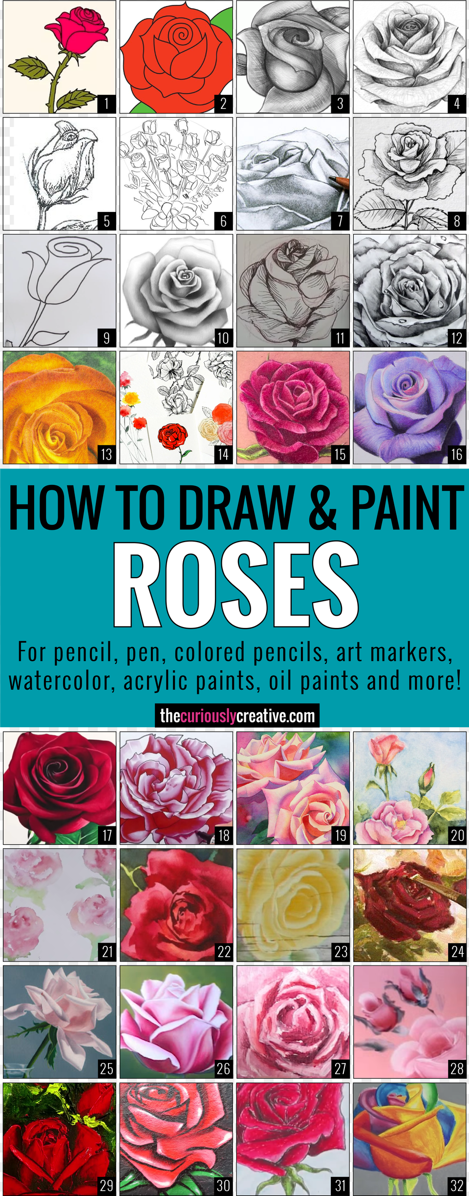 Petal Drawing Rose Bud Draw A Rose Free Png