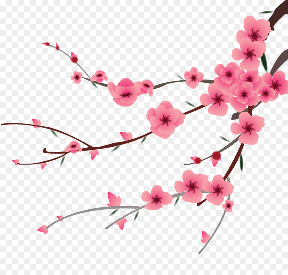 Petal Flower Hand Painted, Plant, Cherry Blossom Free Png