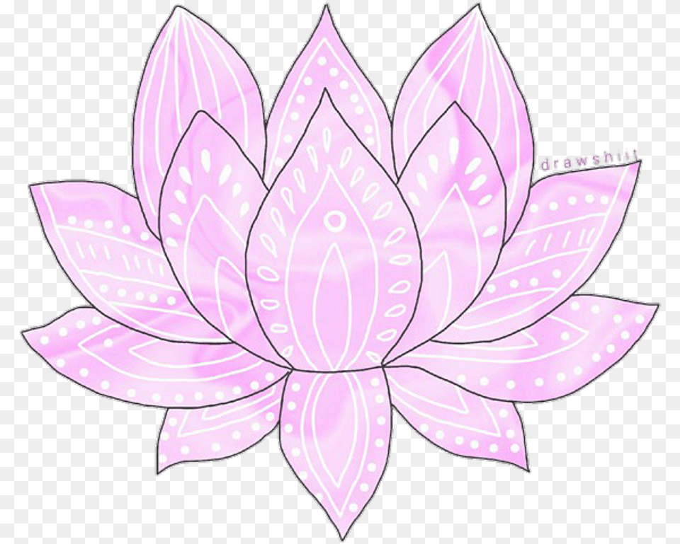 Petal Flower Transparency And Translucency Drawing Lotus Sacred Lotus, Purple, Plant, Pattern, Leaf Png Image