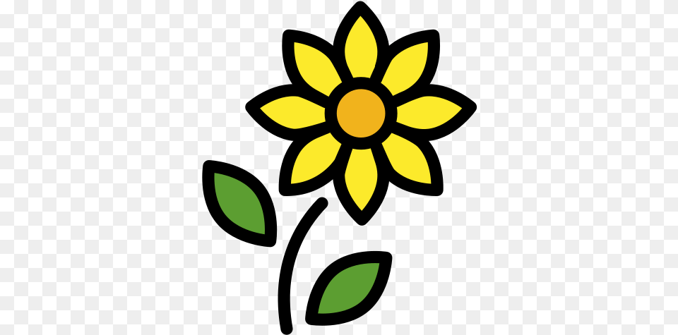 Petal Flower Vector, Plant, Daisy, Sunflower, Art Png