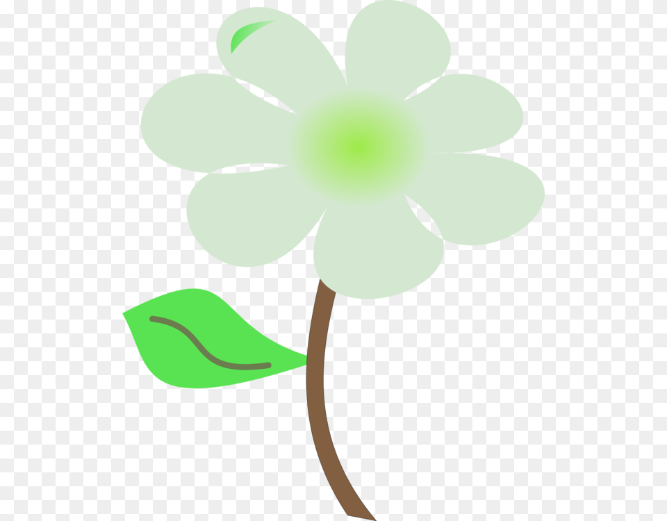 Petal Green Leaf Plant Stem Flowering Plant, Anemone, Daisy, Flower, Person Free Transparent Png