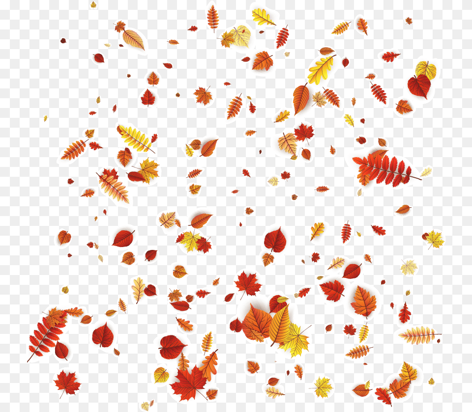 Petal Leaves Autumn Orange Vector Design Pattern Clipart Autumn Leaves Falling, Flower, Leaf, Plant, Paper Png