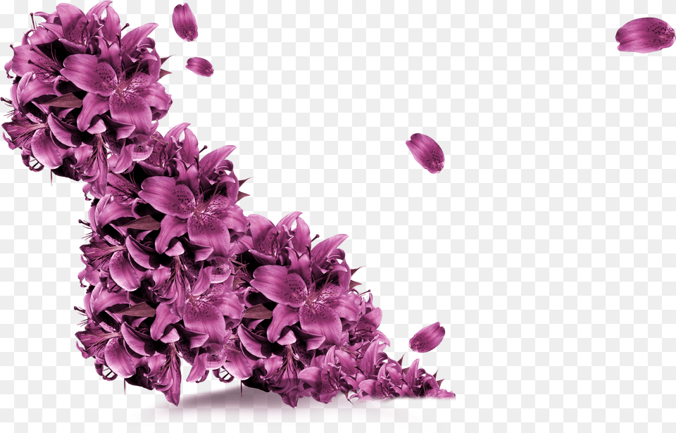 Petal Vector Purple Flower Purple Flowers Vectors, Plant, Flower Arrangement, Art, Floral Design Free Transparent Png