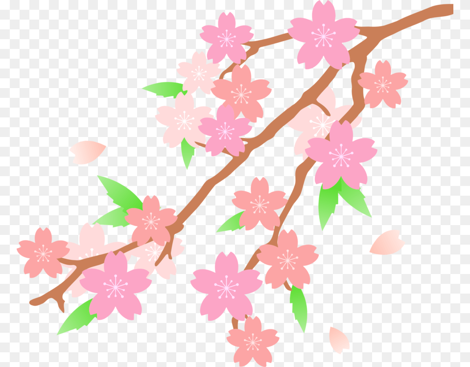 Petalcut Flowerstwig Transparent Cherry Blossom Drawn, Flower, Plant, Cherry Blossom Free Png Download
