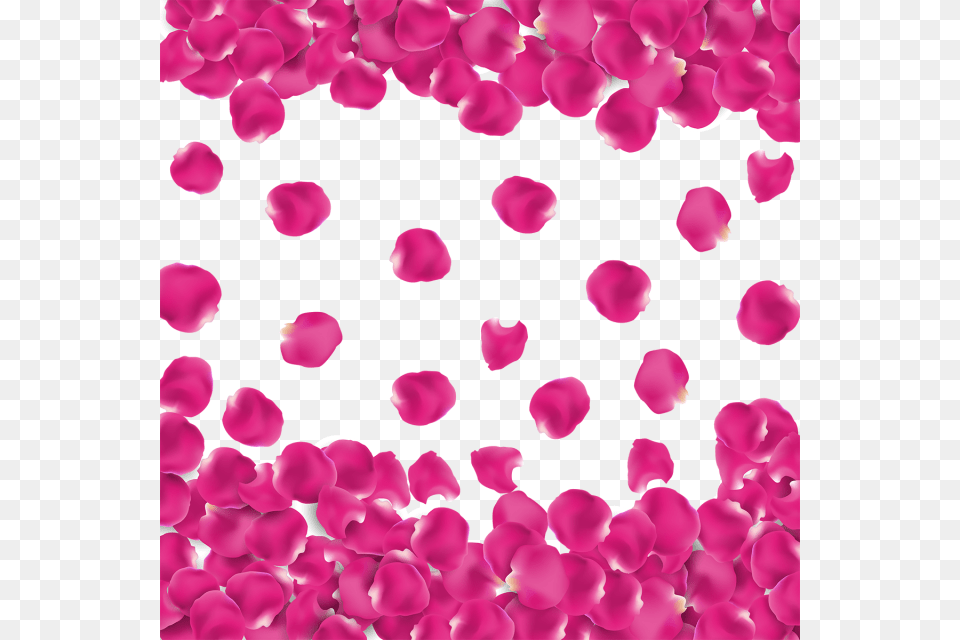 Petalos, Flower, Petal, Plant Png